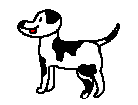 black and white dog